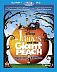 James And The Giant Peach: Special Edition  (with DVD)
