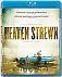 Heaven Strewn (2011)