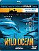 IMAX:WILD OCEAN (2D/3D)