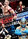 WWE: Best of Raw and Smackdown 2011